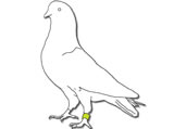 Notknown